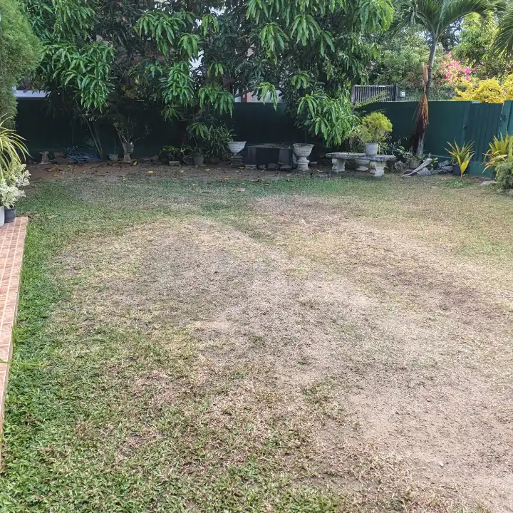 29.5 perches land with an old house for sale in Negombo Thaladuwa Road — photo 3