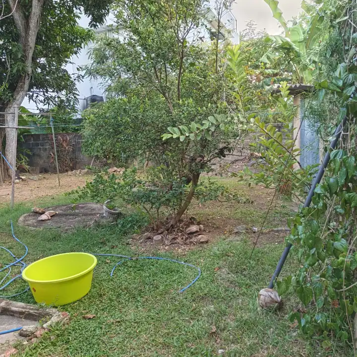 29.5 perches land with an old house for sale in Negombo Thaladuwa Road — photo 2