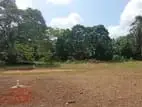 Land for Sale in Iswari Road Colombo 05