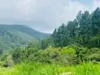 Natural Lands for Sale in Ella