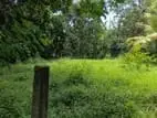 Prime Residential Bare Land for Sale in Ragama