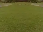17 Perches Bare land for sale in Kollupitiya, Colombo 03 (C7-7110)