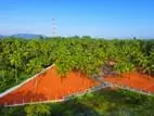 Melsiripura Valuable Land Plots - H033