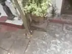 land sale in kirulapone