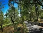 Land For Sale In Idalgashinna