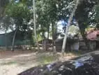 Land for Sale in Athulkotte - 766