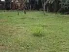 Land for Sale in Colombo 02
