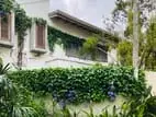 Luxury Furnished House for Rent in Colombo 5