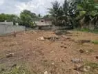 Land for Sale in Boralasgamuwa - 767