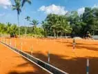 Land Plots in Pasyala Y 9