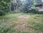 Land for Sale in Boralasgamuwa -767