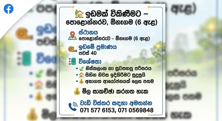 පොලොන්නරුව ඕනෑගම වටිනා ඉඩමක් — photo 2